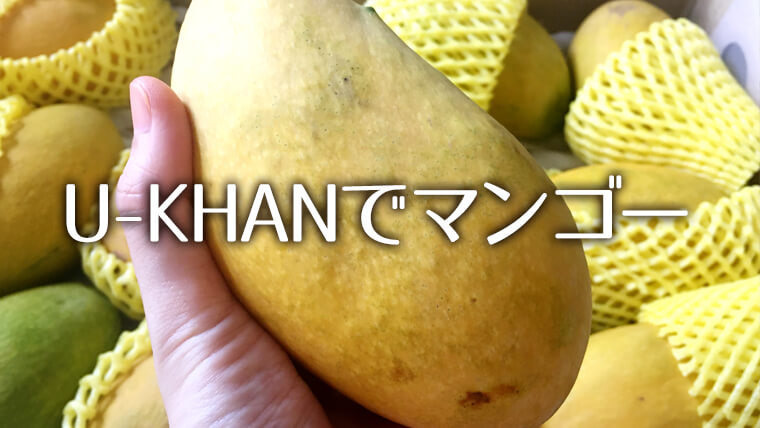 今年もパキスタンのマンゴーがやってきた　U-KHANで買うマンゴー